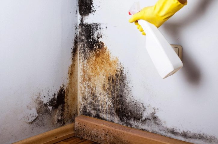 The Best Ways of Minimising Damp in Your Home
