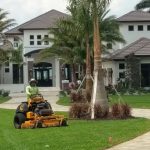What to Look for in Landscaping Companies